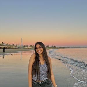 Niharika Roy Choudhury